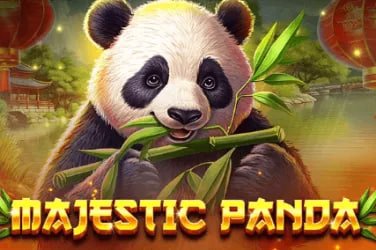 Perbandingan antarmuka aplikasi badaitoto di Android dan browser iOS